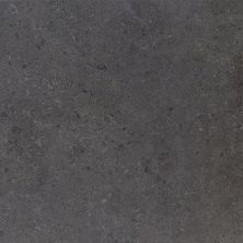 Daltile Dignitary Field Tile Governor Black 12×24 DR1112241L