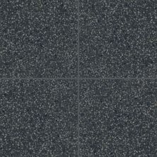 Marazzi D_segni Terrazzo Black DS33SQU88MT