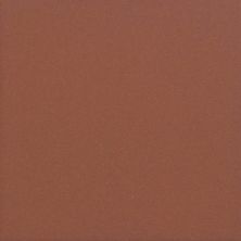 Daltile Suretread And Pavers Red Paver (Smooth Surface) 0Q84661PB
