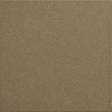 Daltile Suretread And Pavers Bronze Clay Paver(Smooth Surface) 0Q87661PB