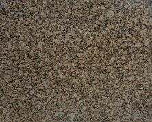 Daltile Granite  Natural Stone Slab Giallo Fiorito G378SLAB3/41L