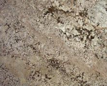 Daltile Granite  Natural Stone Slab Bianco Antico G446SLAB11/41L