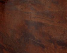 Daltile Granite  Natural Stone Slab Copper Legnio G650SLAB11/41L
