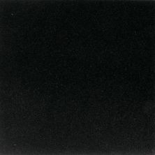 Daltile Granite Collection Absolute Black (Honed) G77112121U