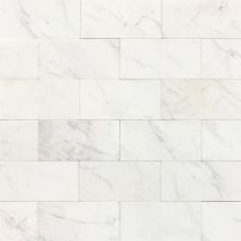 Daltile Marble Collection Contempo White (Polished and Honed) M313361L