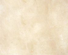 Daltile Marble Collection Crema Marfil Elegance (Polished and Honed) M72112121U