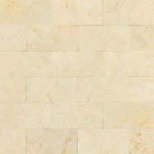 Daltile Marble Collection Crema Marfil Classico (Honed and Polished) M722361U