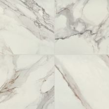Daltile Famed Diamond 12×24 FM101224