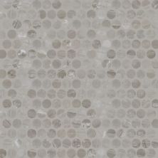 Daltile Famed Fortune Penny Rounds FM14PENNY