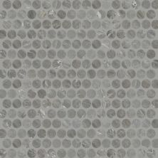 Daltile Famed Glamour Penny Rounds FM13PENNY