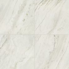Daltile Famed Iconic 12×24 FM111224