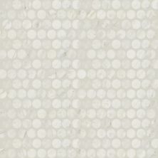 Daltile Famed Iconic Penny Rounds FM11PENNY
