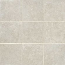 Daltile Florentine Argento 12×12 FL081212