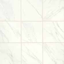 Daltile Florentine Carrara 24×24 FL062424