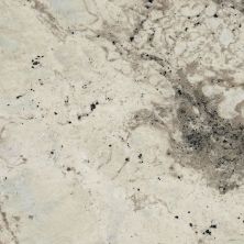 Daltile Granite – Natural Stone Slab Davinci G047SLVARIAPL2