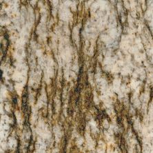 Daltile Granite – Natural Stone Slab Bianco Lucre G203SLVARIAPL2