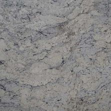 Daltile Natural Stone Slab – Granite White Ice G238