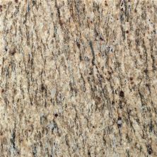 Daltile Natural Stone Slab – Granite Santa Cecilia G287