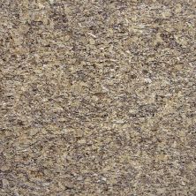 Daltile Granite – Natural Stone Slab Santa Cecilia G287SLVARIAPL3