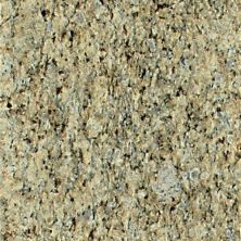Daltile Natural Stone Slab – Granite Giallo Ornament G331