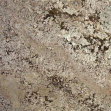 Daltile Natural Stone Slab – Granite Bianco Antico G446