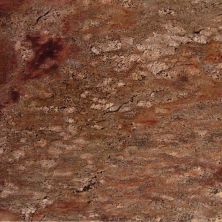 Daltile Granite – Natural Stone Slab Crema Bordeaux G490SLVARIAPL2
