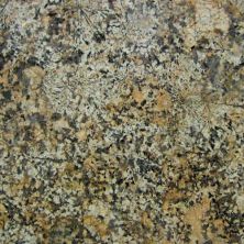 Daltile Natural Stone Slab – Granite Delicatus Gold G510