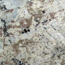 Daltile Natural Stone Slab – Granite White Spring G539