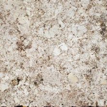 Daltile Natural Stone Slab – Granite Delicatos White G593