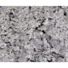 Daltile Natural Stone Slab – Granite Palladium White G841