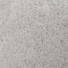Daltile Natural Stone Slab – Granite Ashen White G856