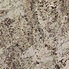 Daltile Natural Stone Slab – Granite Alaska White G975