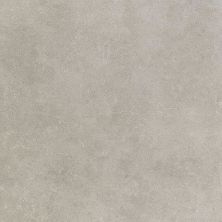 Daltile Haut Monde Field Tile Elite Grey 24×24 HM0524241P