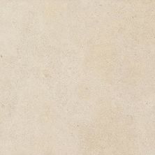 Daltile Haut Monde Nobility White 12×24 HM0812241P