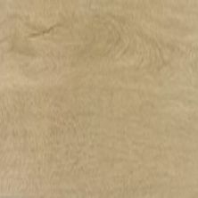 Daltile Proseries – Harper’s Place Ranch HP32