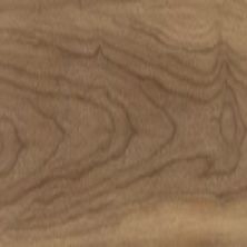 Daltile Proseries – Harper’s Place Rustic HP34