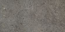 Daltile Industrial Park Charcoal Gray IP09RCT1224MT