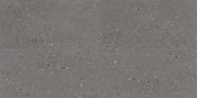 Daltile Loften Coal Limestone LF05G6243M20L