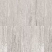 Daltile Linden Point Field Tile Grigio – 12×24 LP21-12×24