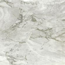 Daltile Natural Stone Slab – Marble Riovalli M006