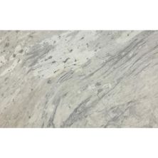 Daltile Natural Stone Slab – Marble Circo White M007