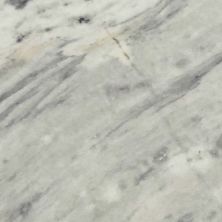 Daltile Marble – Natural Stone Slab Circo White M007SLVARIAHN2