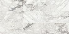 Daltile Marble Venetian Calacatta M474RCT1224HN