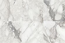 Daltile Marble Venetian Calacatta M474SQU1818PL