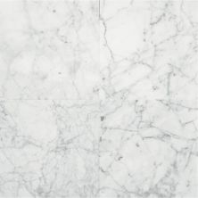 Daltile Natural Stone Slab – Marble Carrara Gioia M702
