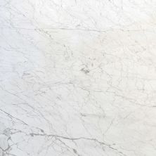 Daltile Marble – Natural Stone Slab Carrara Gioia M702SLVARIAHN2