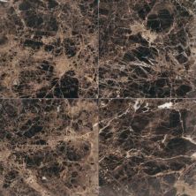 Daltile Natural Stone Slab – Marble Emperador Dark M725