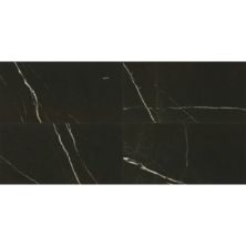 Daltile Marble Attache Field Tile Nero MA83-1224-PL