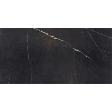 Daltile Marble Attache Field Tile Nero MA83-2448-ST
