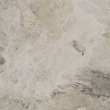 Daltile Marble Attache Field Tile Crux MA84-2424ST